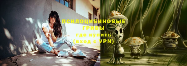 прущая мука Горняк