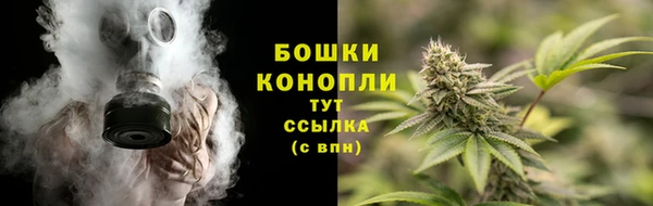 прущая мука Горняк