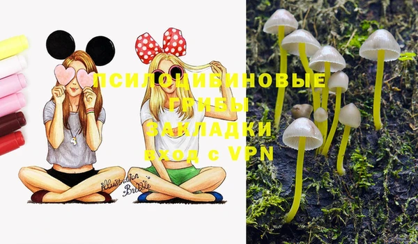 прущая мука Горняк
